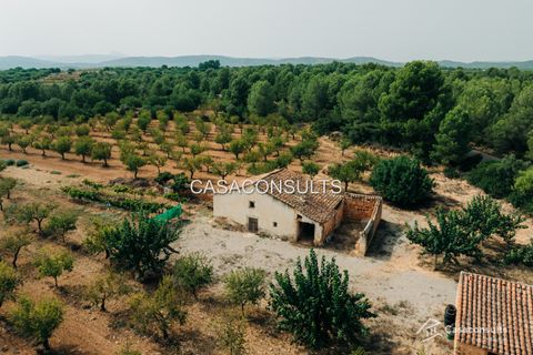 Masia a Les Useras, Castellon, Les Useras - € 140.000 | Ref: 874 - foto 21